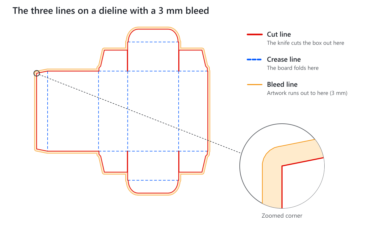 A tuck end box dieline with the red cut line, blue dashed crease lines and an orange bleed line 3 mm outside the cut, with a zoomed corner