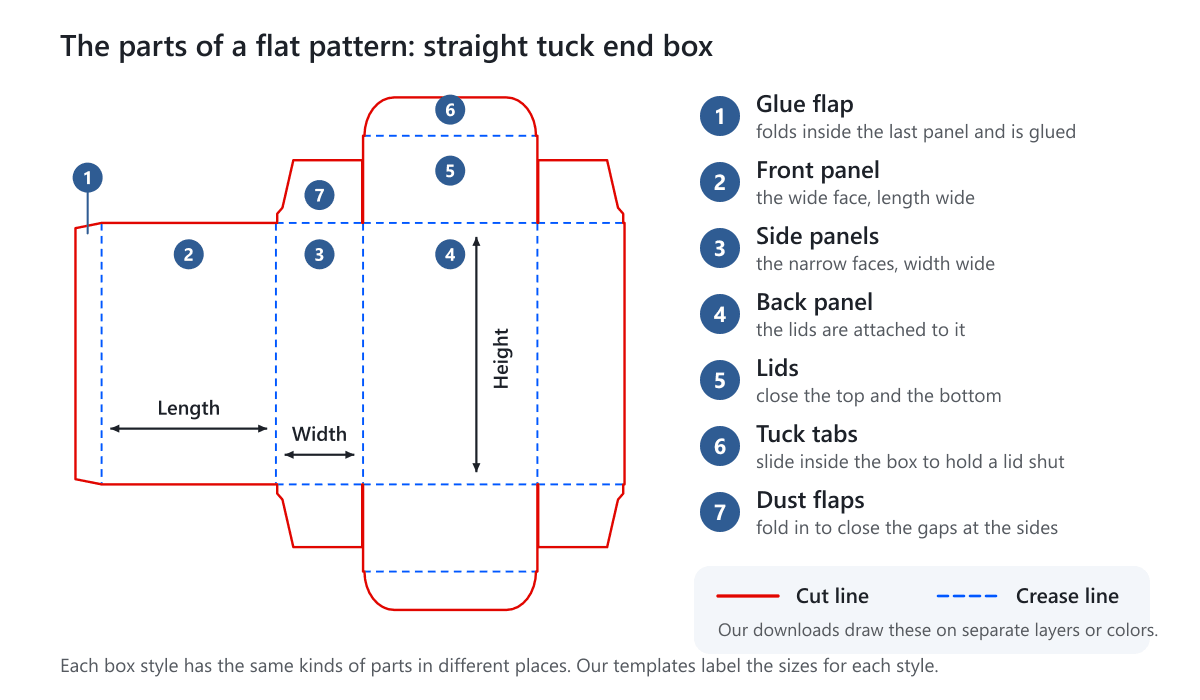 A straight tuck end box pattern with numbered parts: glue flap, front panel, side panels, back panel, lids, tuck tabs and dust flaps