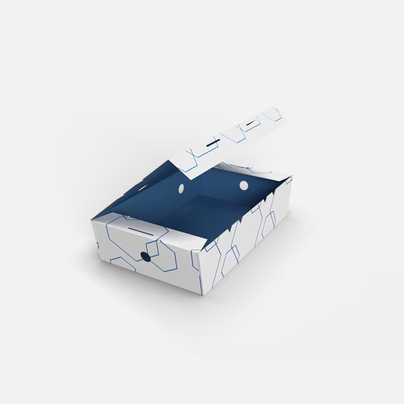 Printed paperboard takeout box with a folding lid and wire handle