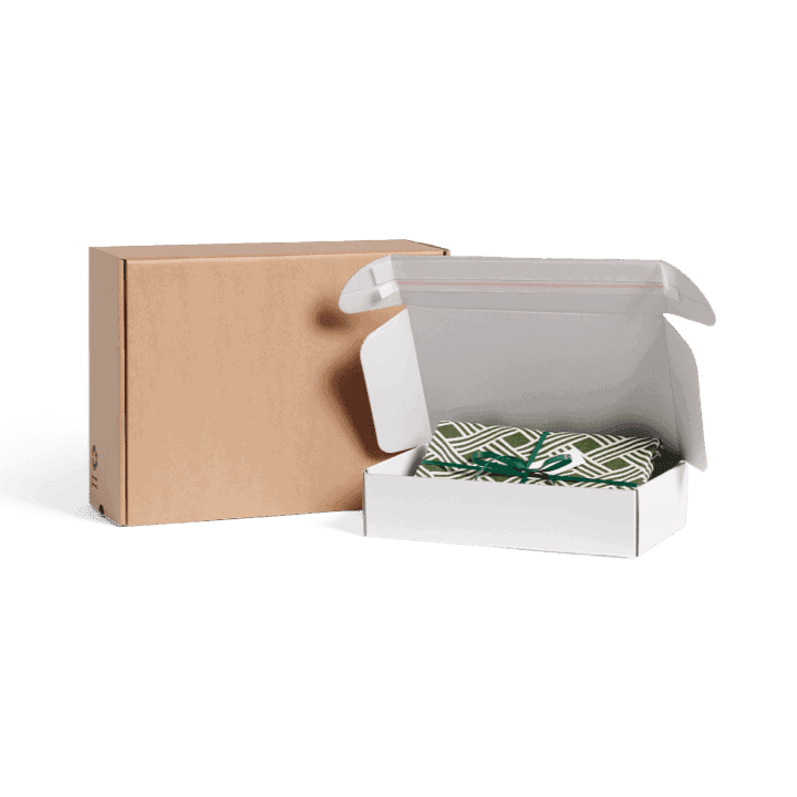 Mailer Box with Adhesive