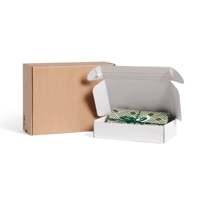 Mailer Box with Adhesive