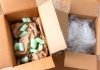 How to Get Rid of Packing Peanuts